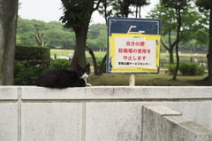 中止しま～す(=^・^=)