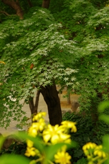 まだですね。。。