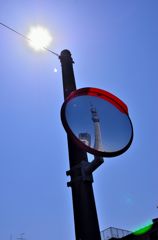 これもミラーツリーです。