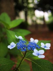 ペンを衝動買い (2)