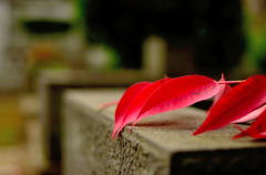 もう色気づいていた(^.^)