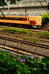 飛鳥山スナップ (2)