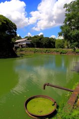 皇居周辺スナップ (3)