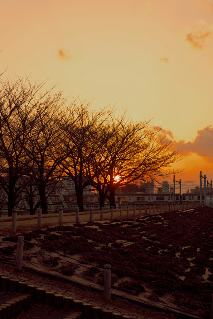 お家に帰ろう(^_^)/