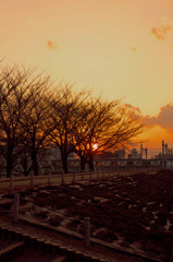 お家に帰ろう(^_^)/