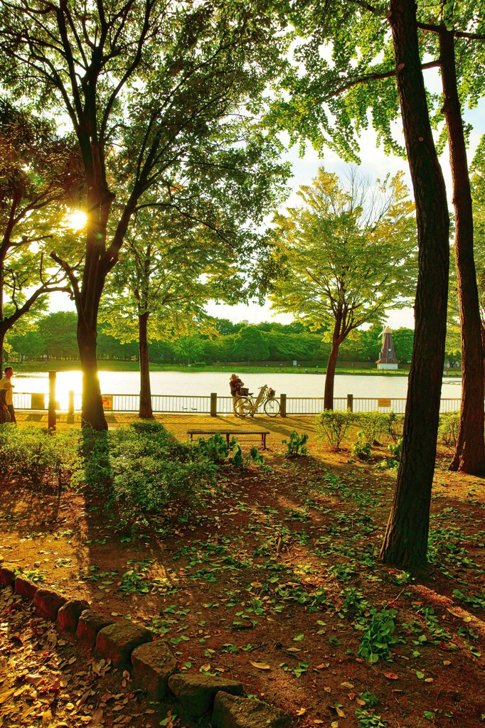 A77導入記念スナップ (3)