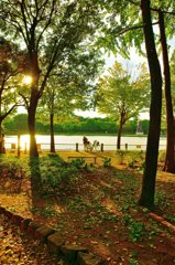 A77導入記念スナップ (3)