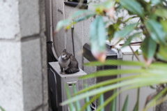 未知との遭遇？