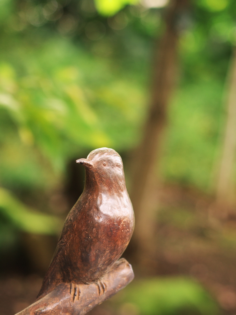 石神井川散策（１）