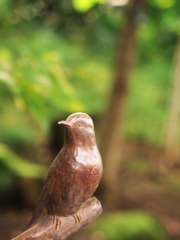 石神井川散策（１）