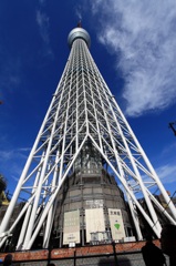 539ｍ（定点観測）