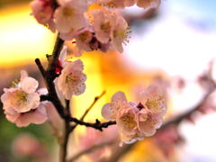 お天気回復(^_^)/