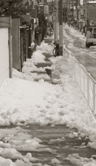 雪国便り（おまけ）(=^・^=)