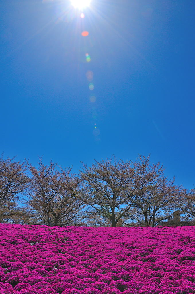 お昼休みスナップ