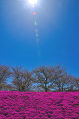 お昼休みスナップ