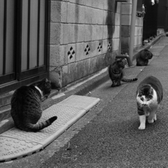 うわぁ