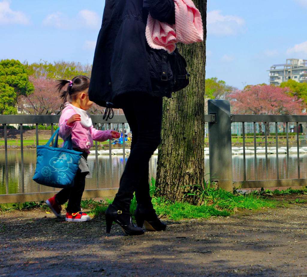 お散歩スナップ（３）