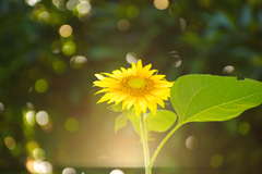 よし、晴れ舞台だ！