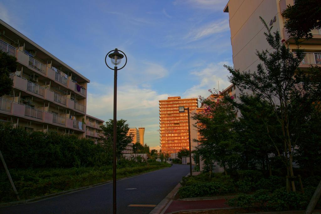 近所の団地