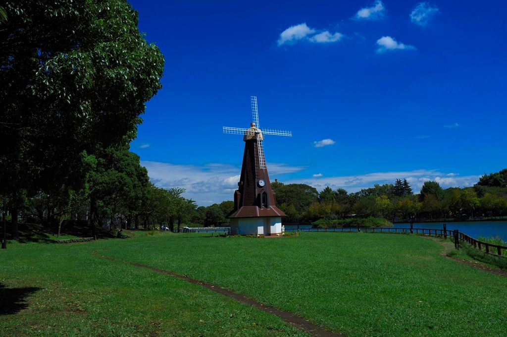 台風一過スナップ（１）