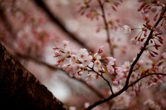 仕事の合間に。。。