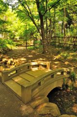 静かなひととき