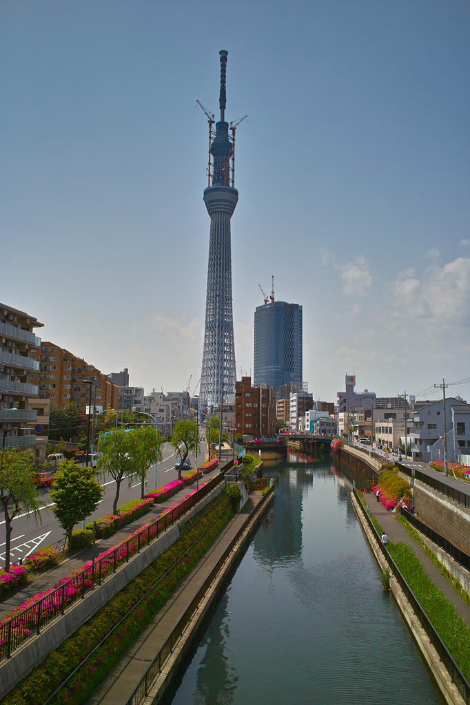 フォビオン散歩（１）