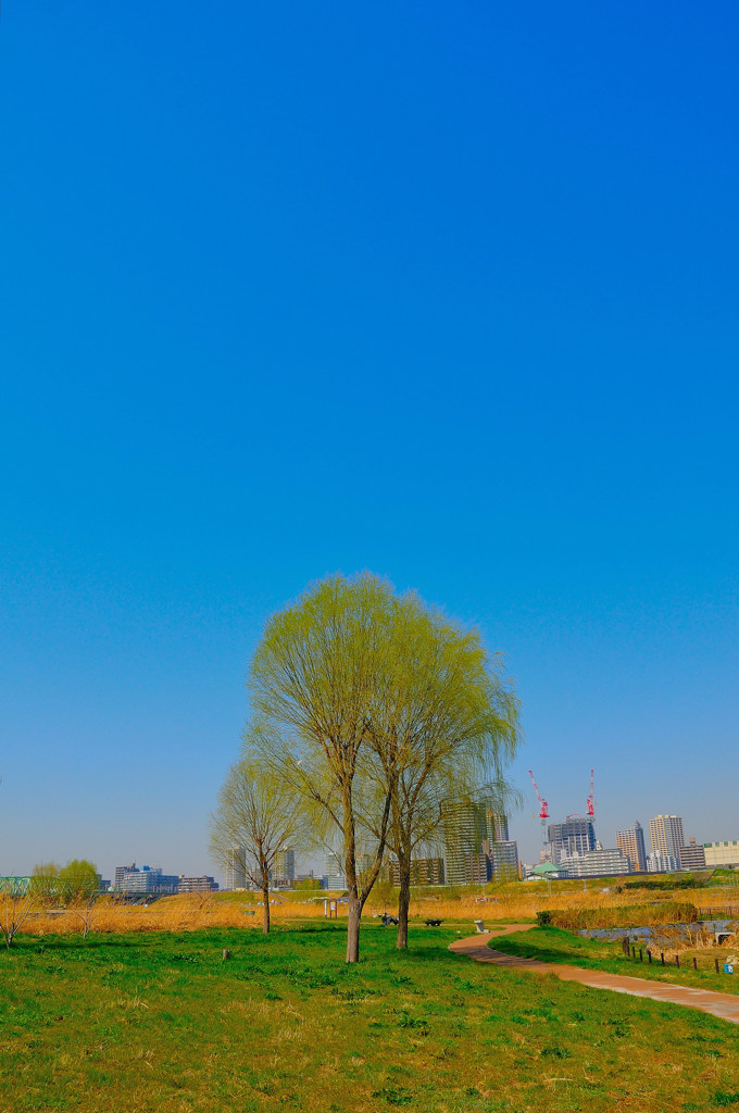 ぶらっとスナップ（２）