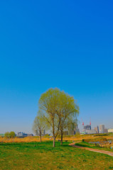 ぶらっとスナップ（２）