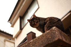 お帰り、EOS 5D（１）
