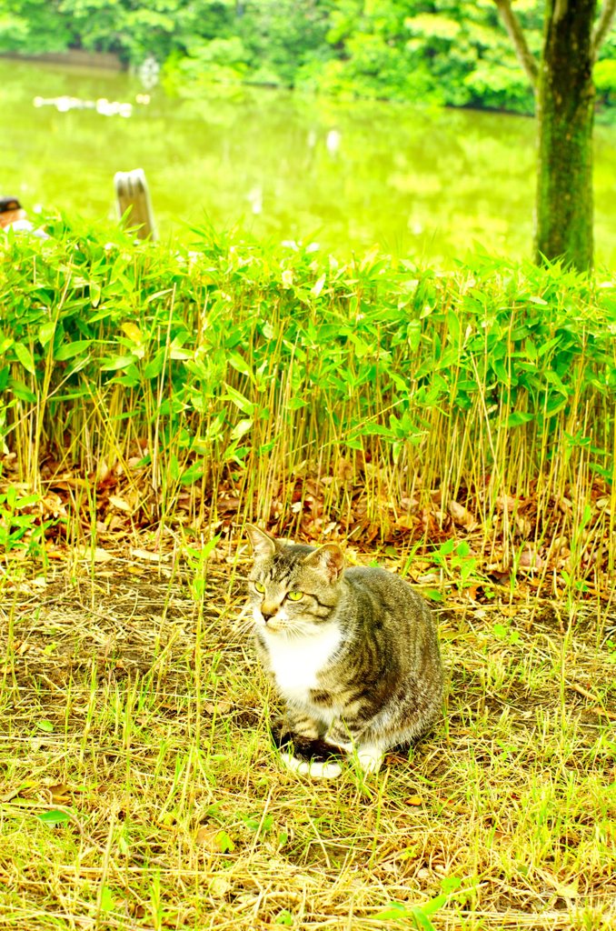 雨上がりの休日 (4)