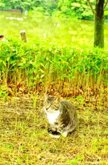 雨上がりの休日 (4)