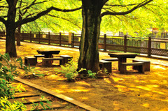 石神井川を歩いてみる (3)