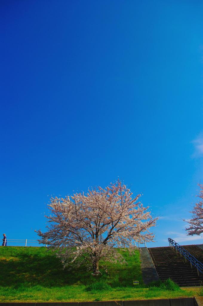 Blue Sky(2)