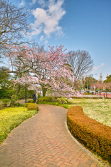 皇居周辺スナップ（２）