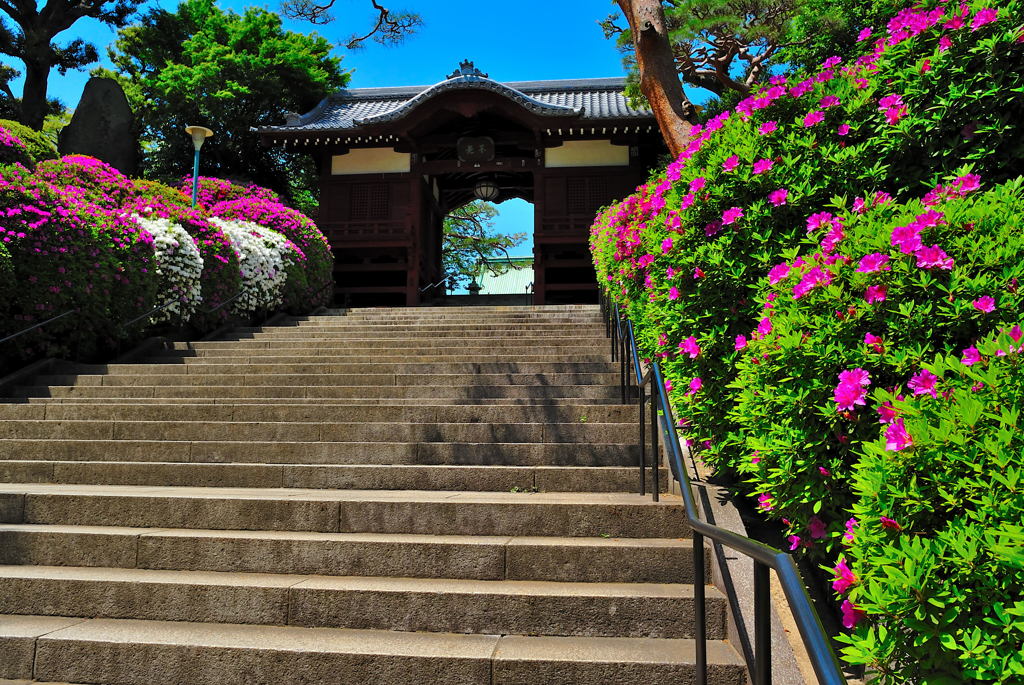 V1スナップ（2）