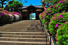 V1スナップ（2）