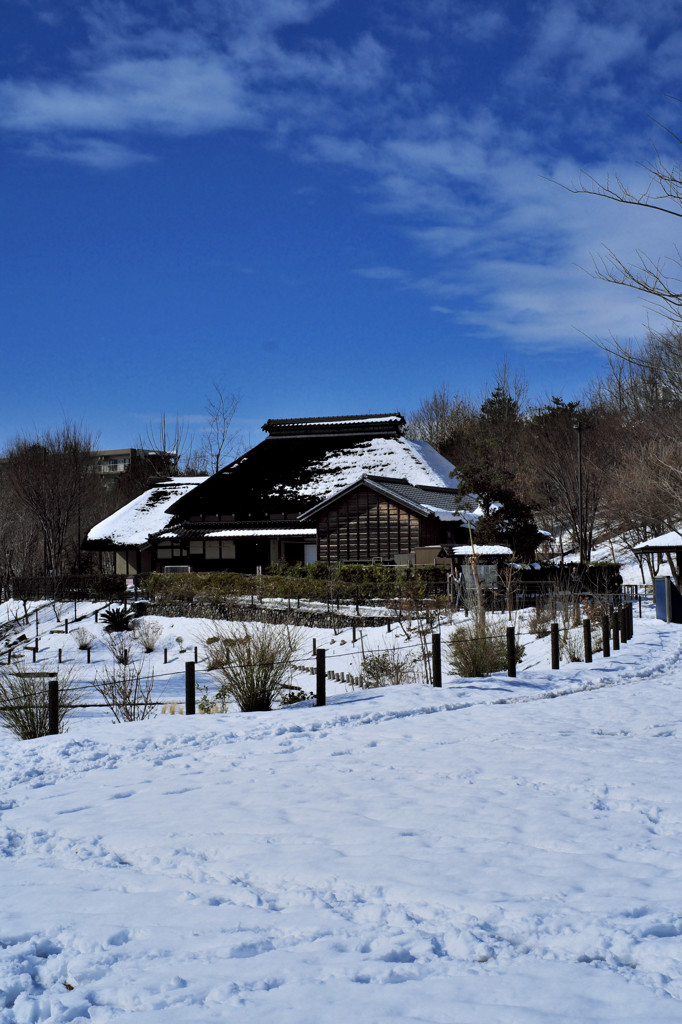 X-E1スナップ（１）