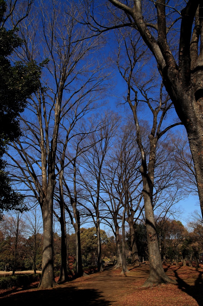 絞ったA09が好き！