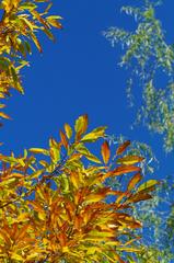 見上げてみると。。。