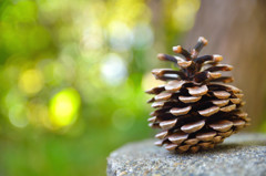 いいポジショニング！