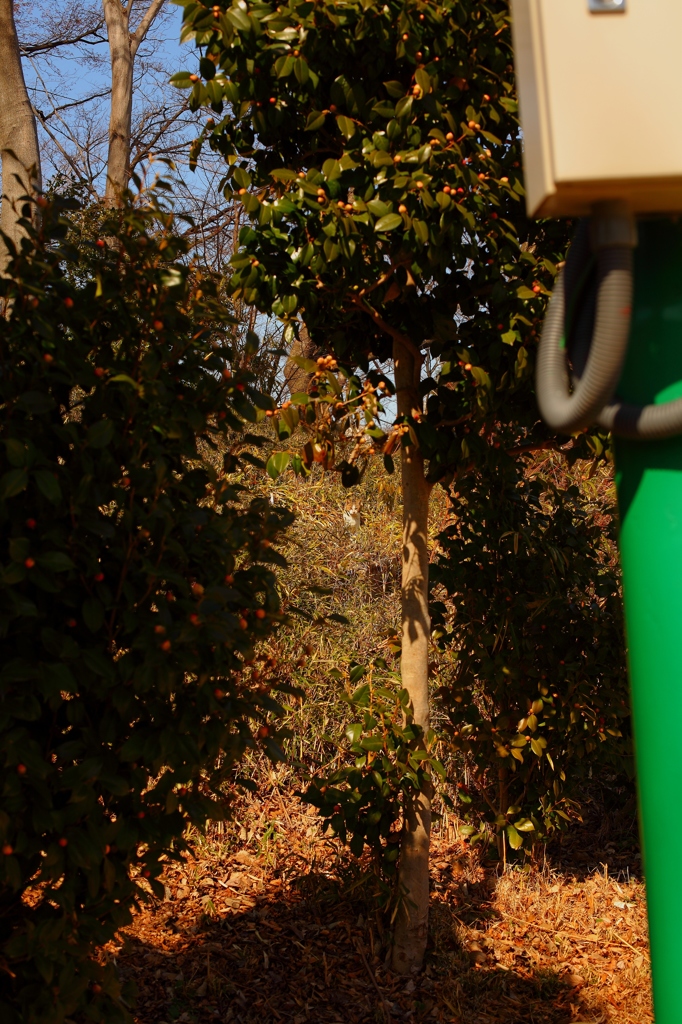 誰かに見られている(^_^)/