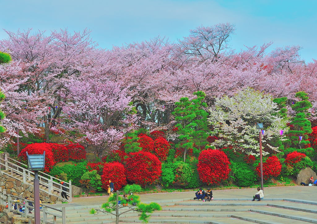見納めスナップ