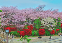 見納めスナップ