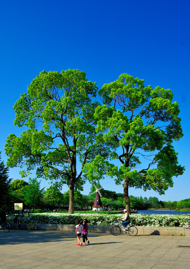 いい天気だなぁ～(^.^)