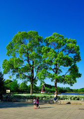 いい天気だなぁ～(^.^)