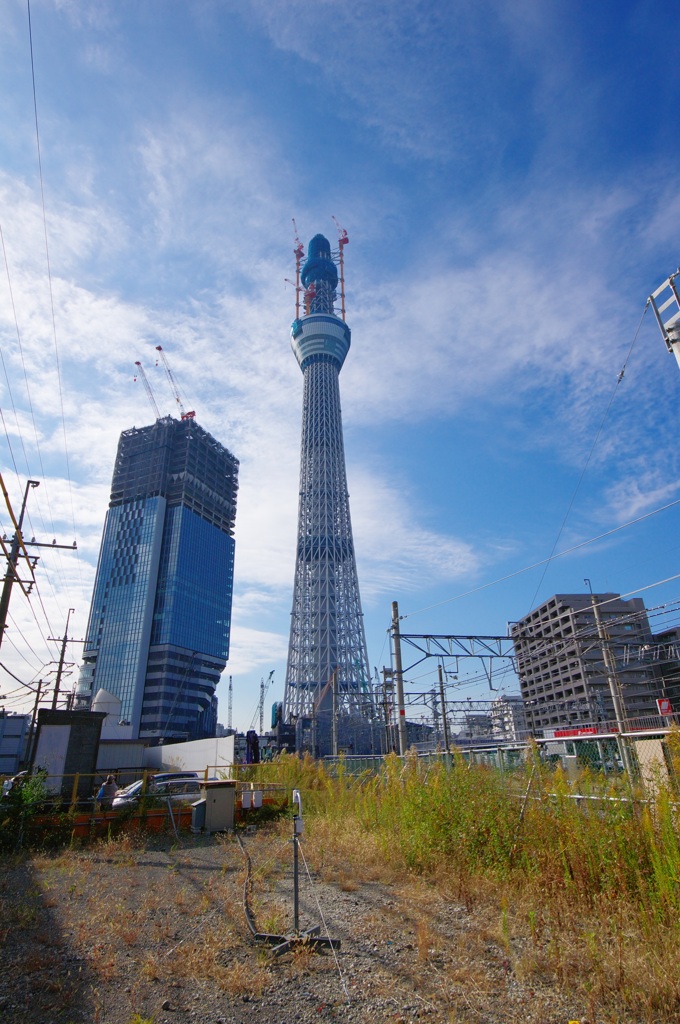 スカイツリー511m