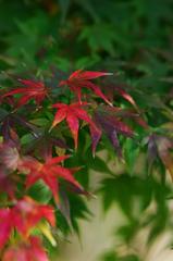 発展？途上。。。