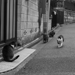 おっ