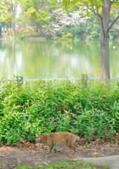 ちょっと先急いでいるんで。。。(=^・^=)